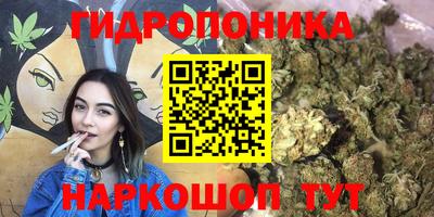 индика Среднеуральск