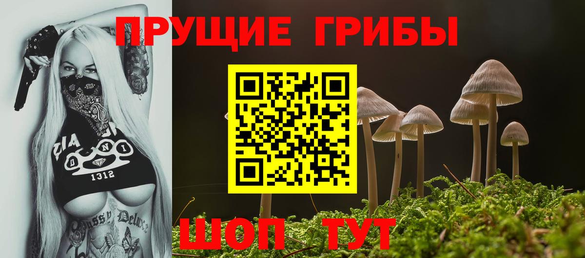 Мценск  Галлюциногенные грибы Psilocybe  Вход с VPN 